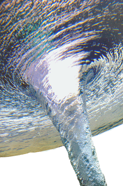 Vortex - Devajal Jani rose